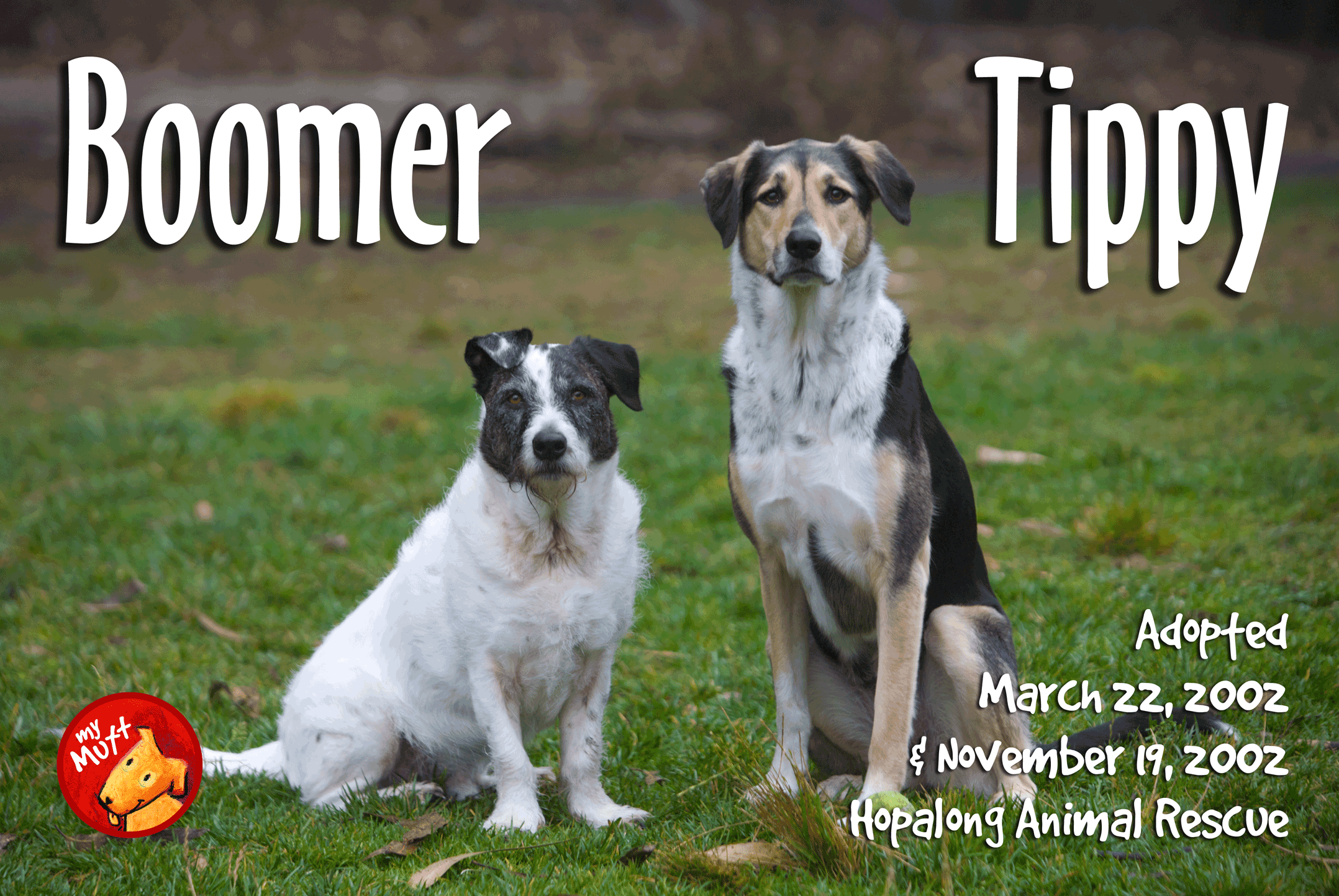 Boomer&TippyS1_ST_60x40